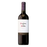 Casillero-del-Diablo-Merlot-Chileno-Vinho-Tinto-750ml-Zaffari-00