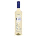 Salton-Frisant-Lunae-Nacional-Vinho-Branco-750ml-Zaffari-00