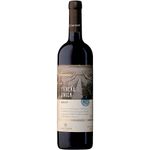 Casa-Perini-Merlot-Nacional-Vinho-Tinto-Seco-750ml-Zaffari-00