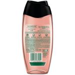 Sabonete-Liquido-Palmolive-Luminous-Oils-Figo-e-Orquidea-Branca-Sache-250ml-Zaffari-01