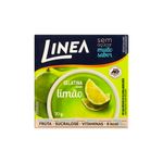 Gelatina-de-Limao-sem-Acucar-Linea-10g-Zaffari-00
