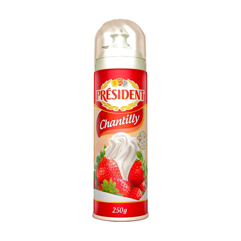 Chantilly-Spray-President-250g-Zaffari-00