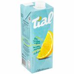 Nectar-de-Laranja-56--Suco-Tial-1-Litro-Zaffari-01