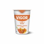 Iogurte-de-Cenoura-Laranja-e-Mel-Integral-Viv-Vigor-150g-Zaffari-00