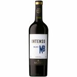 Salton-Malbec-Intenso-Argentino-Vinho-Tinto-750ml-Zaffari-00