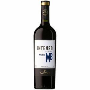 Salton Malbec Intenso Argentino Vinho Tinto 750ml