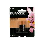 Pilha-Alcalina-AAA-Palito-Duracell-2-unidades-Zaffari-00