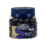 Blueberry-Desidratado-Alibec-160g-Zaffari-00