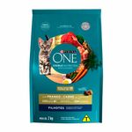 Racao-para-Gatos-Purina-One-Filhotes-Frango-e-Carne-2kg-Zaffari-00