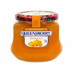 Geleia-de-Damasco-Diet-Queensberry-280g-Zaffari-00