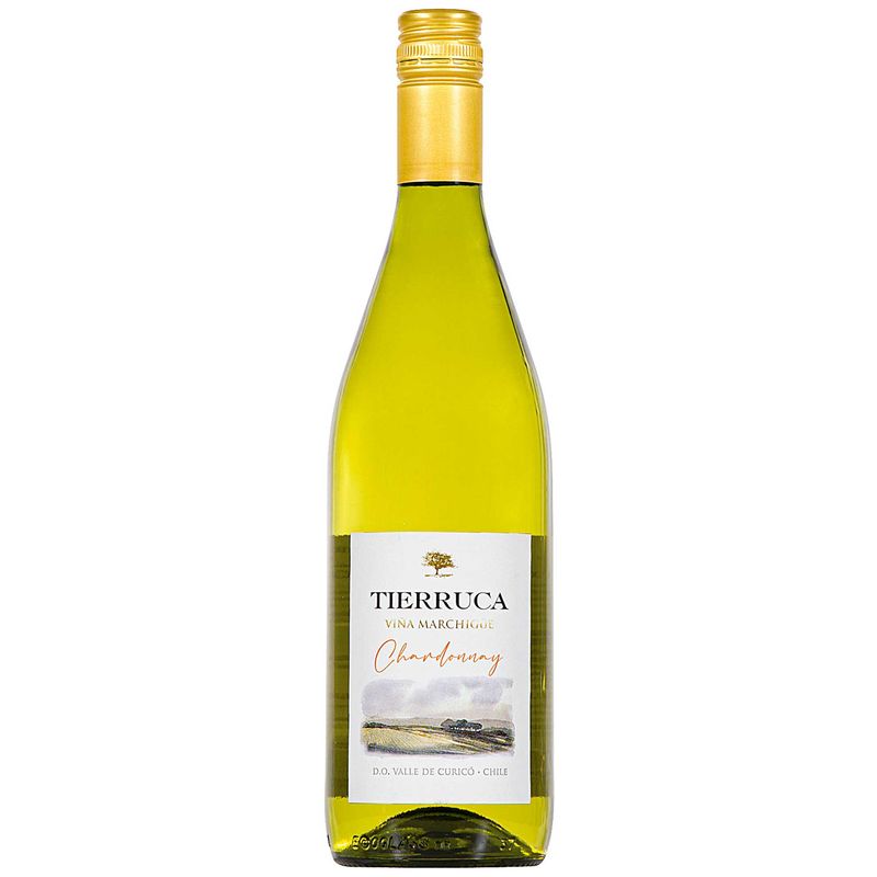 Viñedos-Marchigue-Tierruca-Chardonnay-Chileno-Vinho-Branco-750ml-Zaffari-00