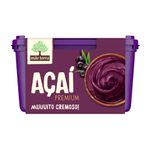 Acai-Premium-Mae-Terra-15-Litro-Zaffari-00