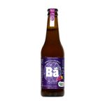 Kombucha-com-Uva-Ba-355ml-Zaffari-00