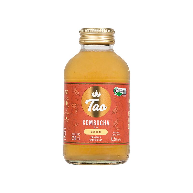 Kombucha-Organica-Gengibre-Tao-350ml-Zaffari-00