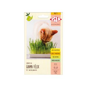 Sementes de Grama Félix Isla 2g