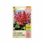 Sementes-de-Salvia-Splendens-Alta-Flor-de-Cardeal-Isla-200mg-Zaffari-00