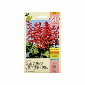 Sementes de Sálvia Splendens Alta Flor-de-Cardeal Isla 200mg