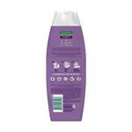 Shampoo-Palmolive-Naturals-Lisos-Radiantes-350ml-Zaffari-01