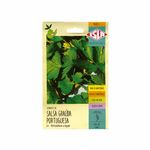 Sementes-de-Salsa-Grauda-Portuguesa-Isla-2g-Zaffari-00