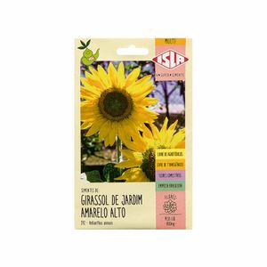 Sementes Girassol de Jardim Amarelo Alto Isla 800mg