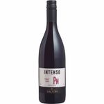 Salton-Pinot-Noir-Nacional-Vinho-Tinto-Seco-750ml-Zaffari-00