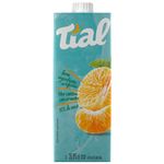 Nectar-de-Tangerina-35--Suco-Tial-1-Litro-Zaffari-00