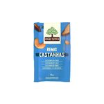 Remix-Castanhas-Brasileiras-sem-Cascas-Mae-Terra-25g-Zaffari-00