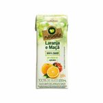 Suco-de-Laranja-e-Maca-sem-Adicao-de-Acucar-Naturale-200ml-Zaffari-00