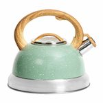 Chaleira-Verde-Inox-Roma-Brinox-27-Litros-Zaffari-00