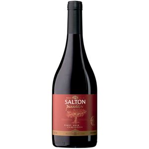 Salton Pinot Noir Campanha Paradoxo Vinho Tinto Seco 750ml