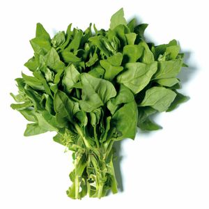 Espinafre Molho