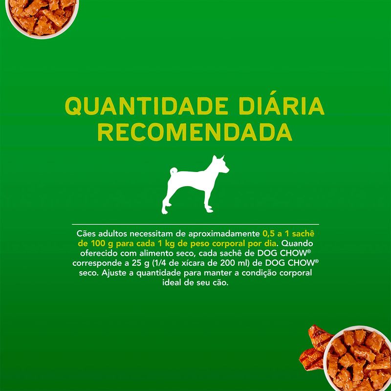 Racao-Umida-para-Caes-Dog-Chow-Purina-Adultos-Carne-100g-Zaffari-03