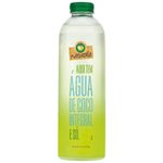 Agua-de-Coco-Integral-Naturale-1-Litro-Zaffari-00