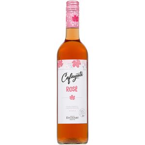 Bodegas Etchart Cafayate Argentino Vinho Rosé 750ml