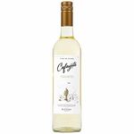 Bodegas-Etchart-Cafayate-Torrontes-Argentino-Vinho-Branco-750ml-Zaffari-00