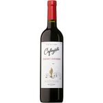 Bodegas-Etchart-Cafayate-Cabernet-Sauvignon-Argentino-Vinho-Tinto-750ml-Zaffari-00