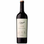 Bodegas-Etchart-Cafayate-Cabernet-Sauvignon-Terroir-de-Altura-Argentino-Vinho-Tinto-750ml-Zaffari-00