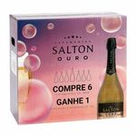 Kit-6-Espumantes-Ouro-Brut-Salton-750ml---Espumante-Magnum-15-Litros-Zaffari-00