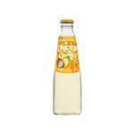 Keep-Cooler-Classic-Piña-Colada-275ml-Zaffari-00