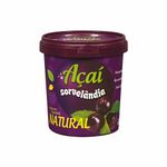 Acai-com-Guarana-Sorvelandia-500g-Zaffari-00