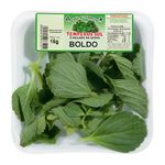 Boldo-Temperos-Sul-16g-Zaffari-00