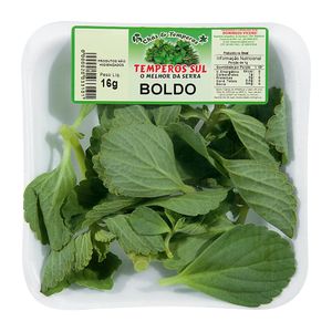 Boldo Temperos Sul 16g