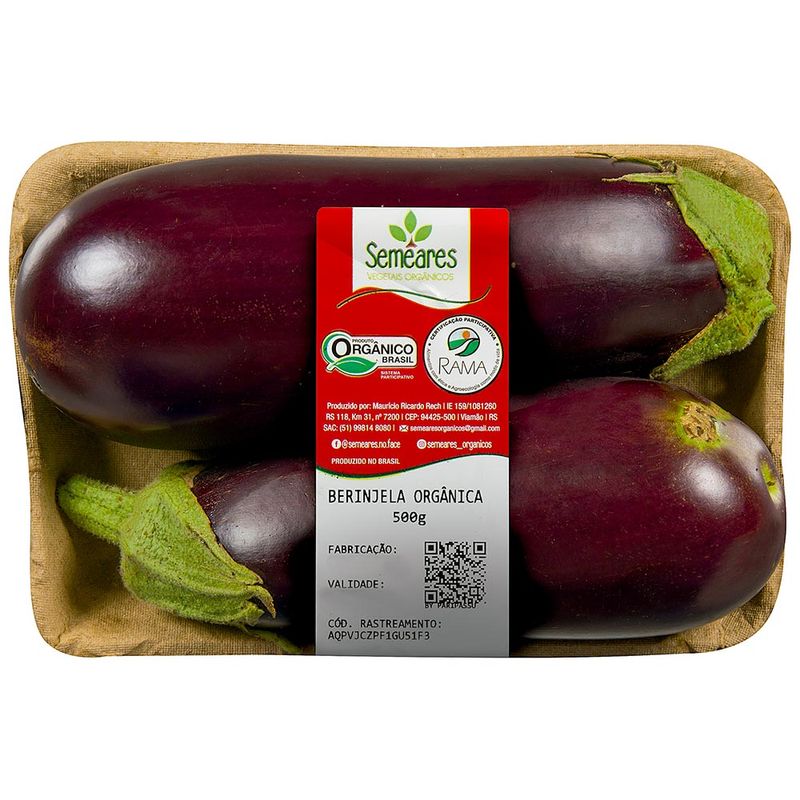 Beringela-Organica-500g-Zaffari-00