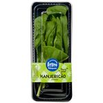 Manjericao-Alfavaca-Hidroponico-20g-Zaffari-00