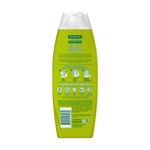 Shampoo-Palmolive-Neutro-Cabelo-Normal-a-Oleoso-350ml-Zaffari-01