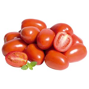 Tomate Italiano