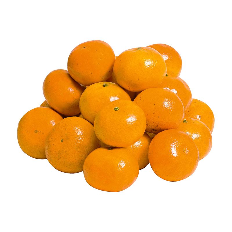 Bergamota-Morgote-Zaffari-00