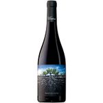 Salvaje-Del-Moncayo-Garnacha-Espanhol-Vinho-Tinto-750ml-Zaffari-00