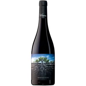 Salvaje Del Moncayo Garnacha Espanhol Vinho Tinto 750ml