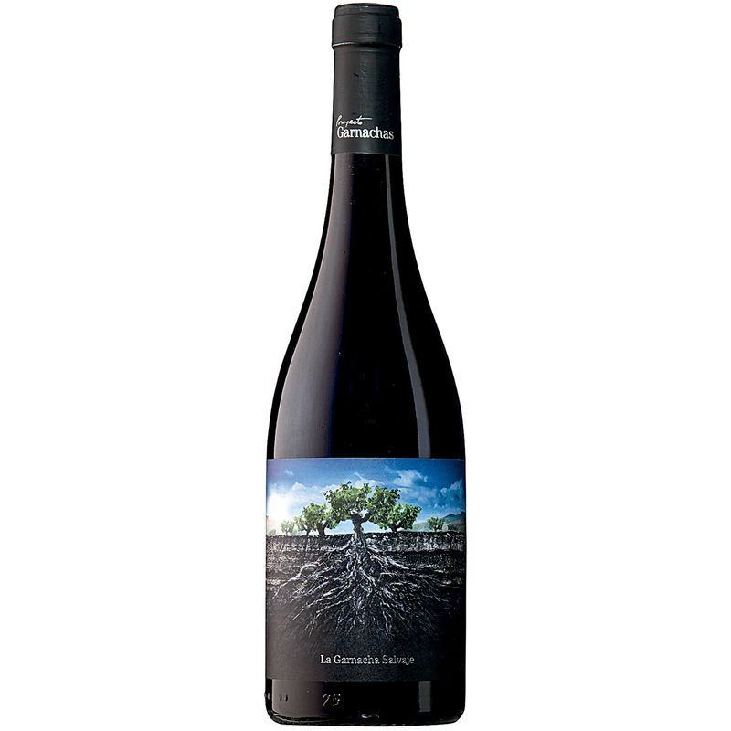Salvaje-Del-Moncayo-Garnacha-Espanhol-Vinho-Tinto-750ml-Zaffari-00